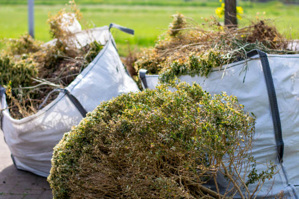 Best Commercial Junk Removal  in Jacksonvle, IL